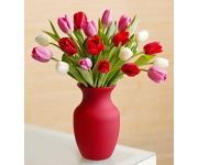 holandské tulipány romantická kytice