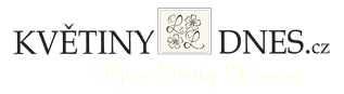 Primary Raster logo