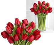 tulipány červené