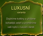 Luxusní varianta