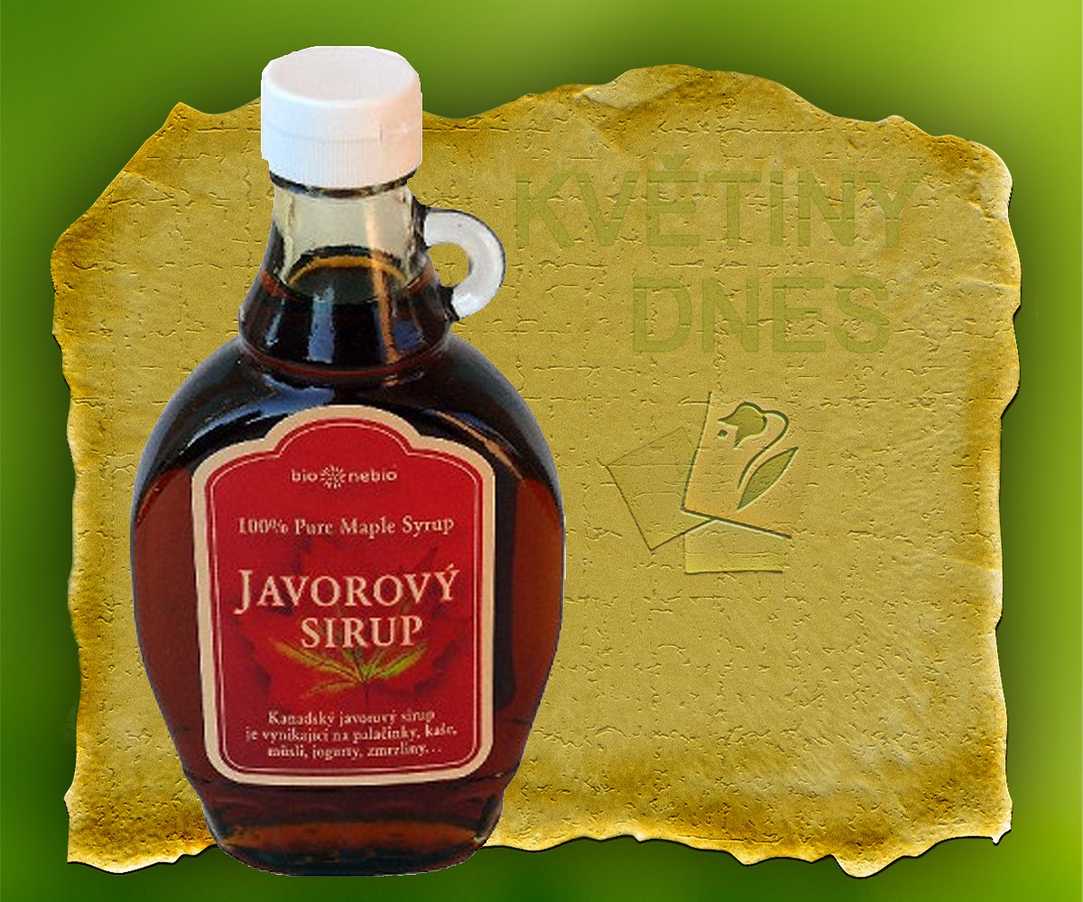 Javorový sirup Květiny online - květinářství Praha Pankrác - netradiční