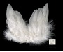 Andělská křídla 1
